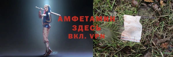 молекула духа Алексин