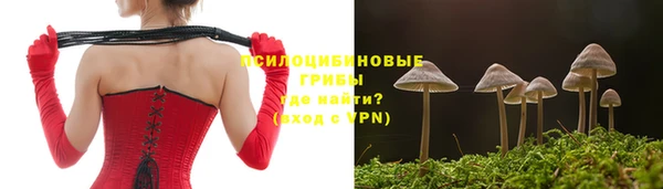 молекула духа Алексин