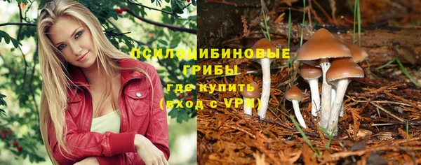 молекула духа Алексин